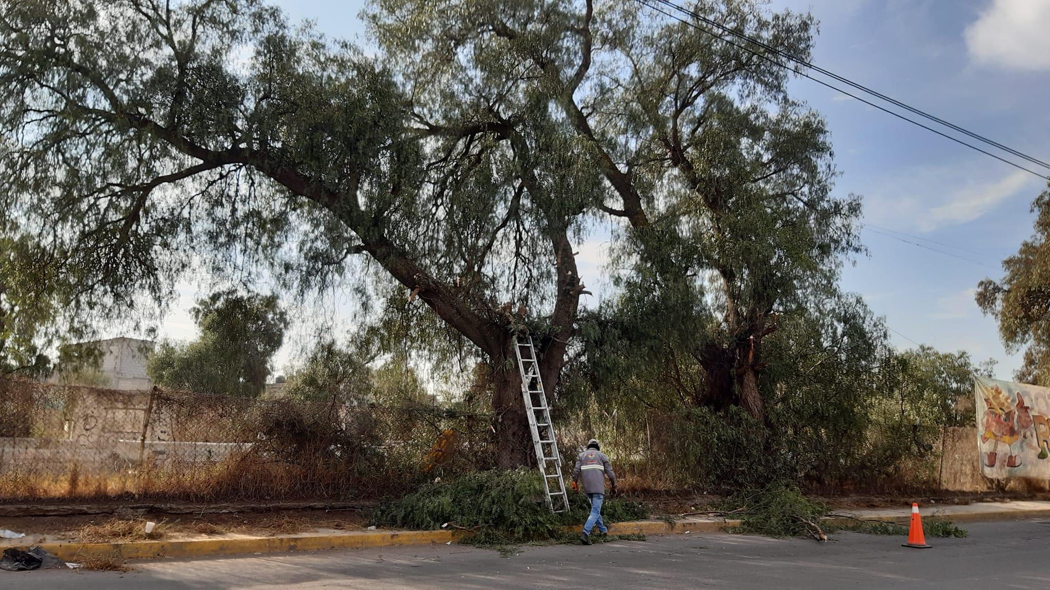 1674064911 241 Nos encontramos realizando trabajos de mejoramiento urbano en la Av