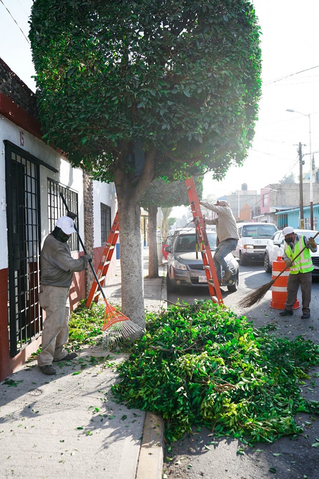 1674154553 201 El Ayuntamiento de Texcoco realiza la poda de arboles en