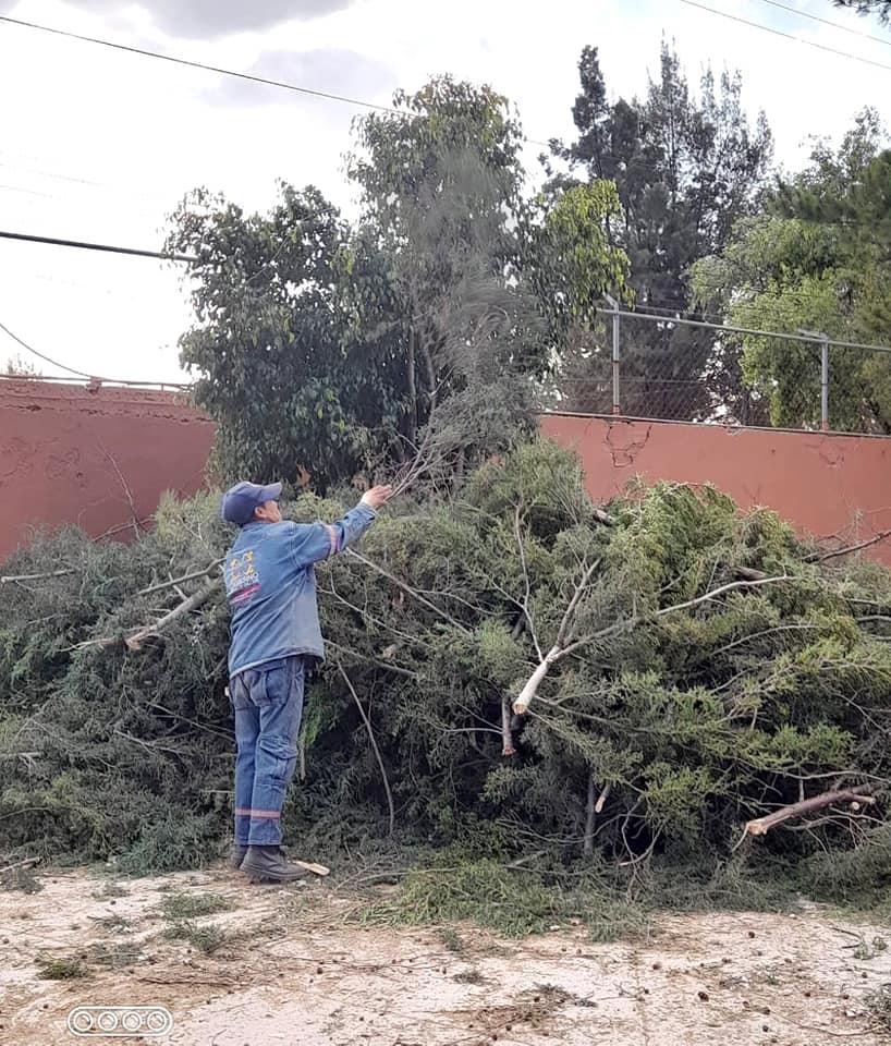 1674156232 El Gobierno Municipal de Jaltenco que preside Rosario Payne Islas