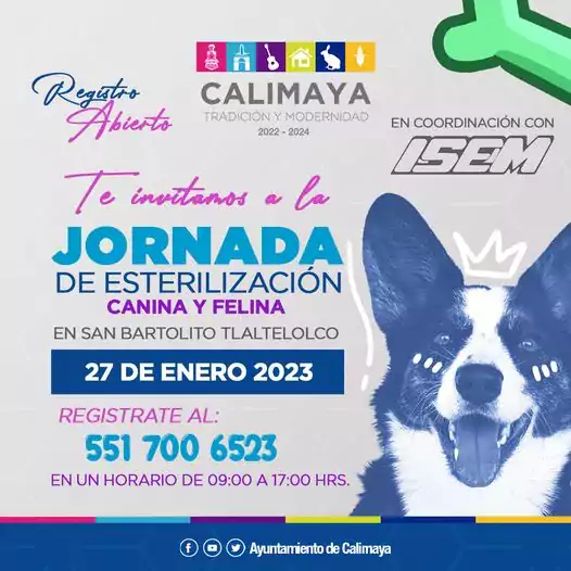 1674231873 IMPORTANTE EL REGISTRO ES PARA UNA MASCOTA jpg