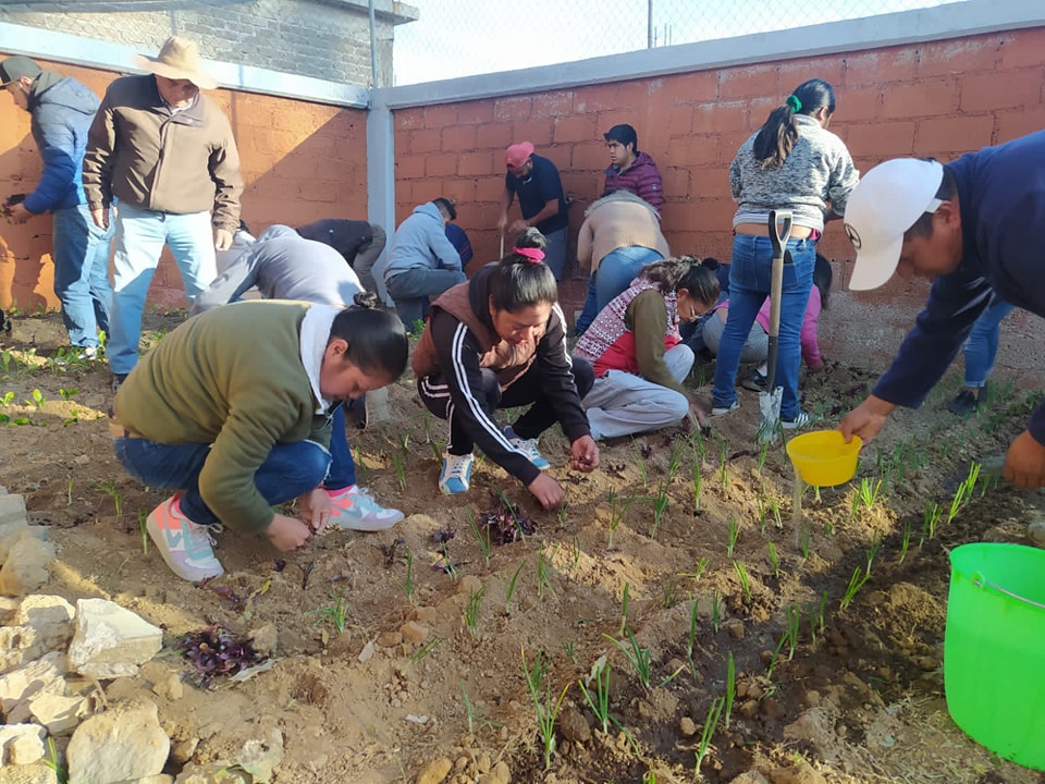 1674237057 493 El Ayuntamiento de Texcoco continua el programa de Huertos Escolares