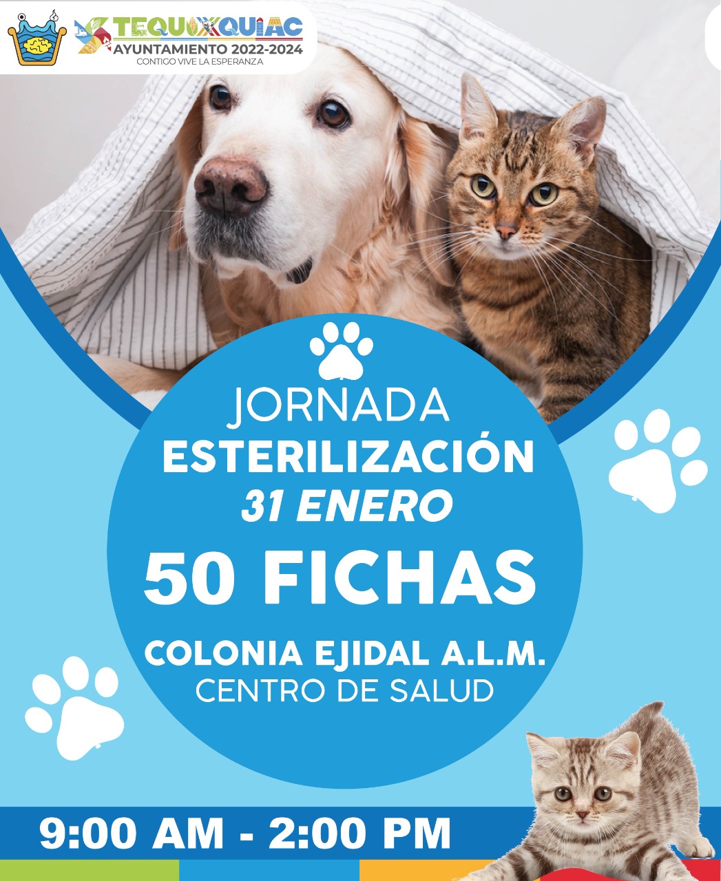 1674421384 20 Nuestras y nuestros peluditos son parte de la familia recuerda