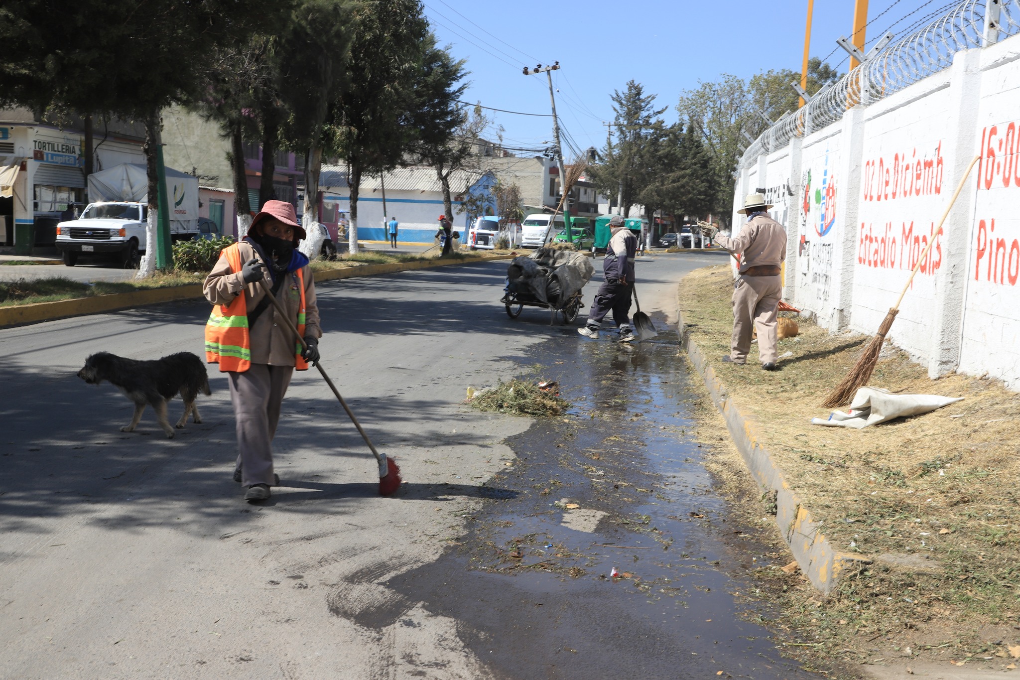 1674668016 422 Para el mejoramiento de la imagen urbana en la comunidad