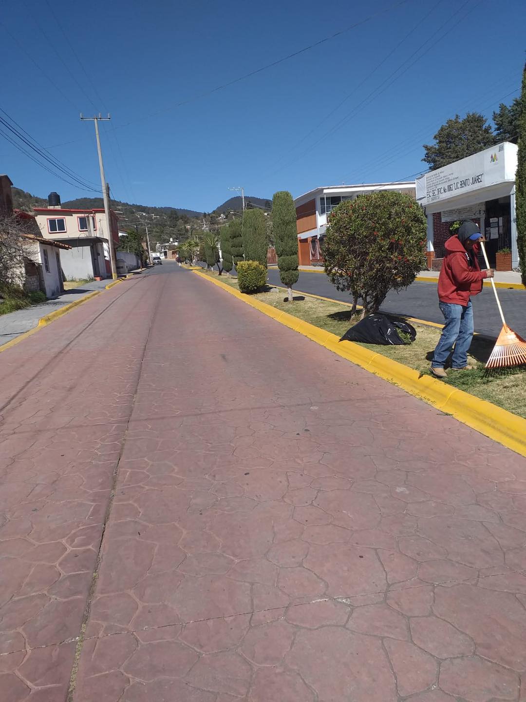 1674671987 726 Nuestros companeros del area de Ecologia siguen trabajando para mantener