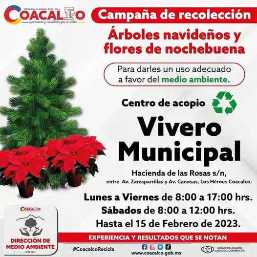 1674675698 ¡Lleva tu arbolito de navidad y flores de nochebuena al jpg