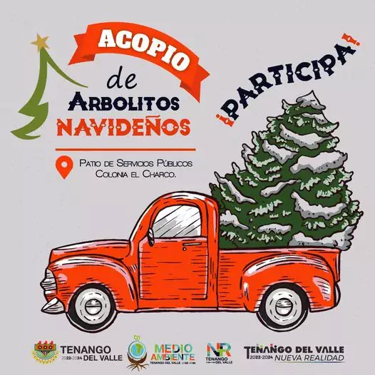 1674738937 Demosle una segunda vida a los arbolitos de navidad jpg