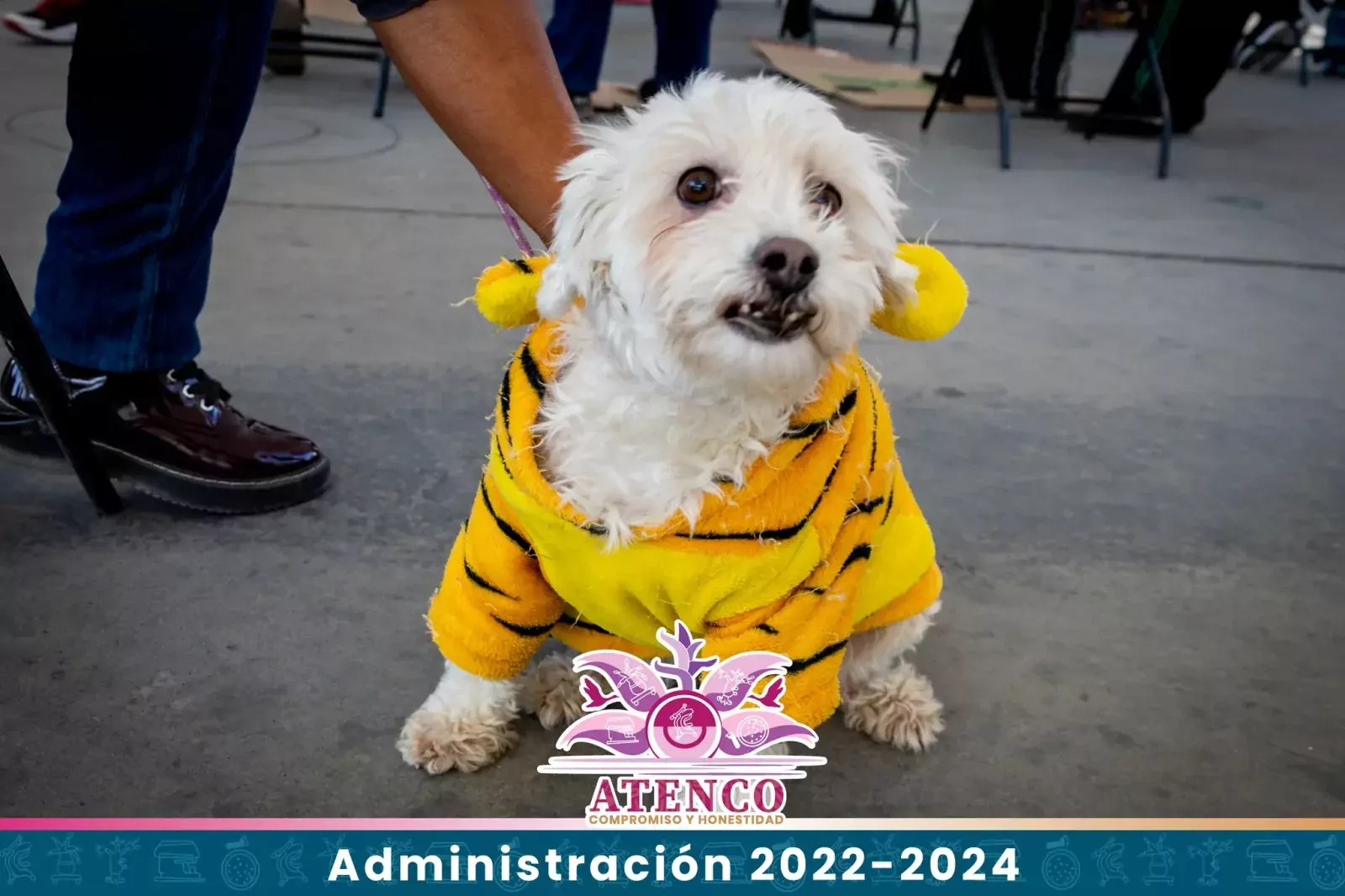 1674749518 PRIMERA JORNADA DE ESTERILIZACION CANINA Y FELINA 2023 jpg