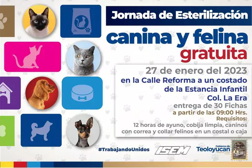 1674776393 Jornada de esterilizacion canina y felina jpg