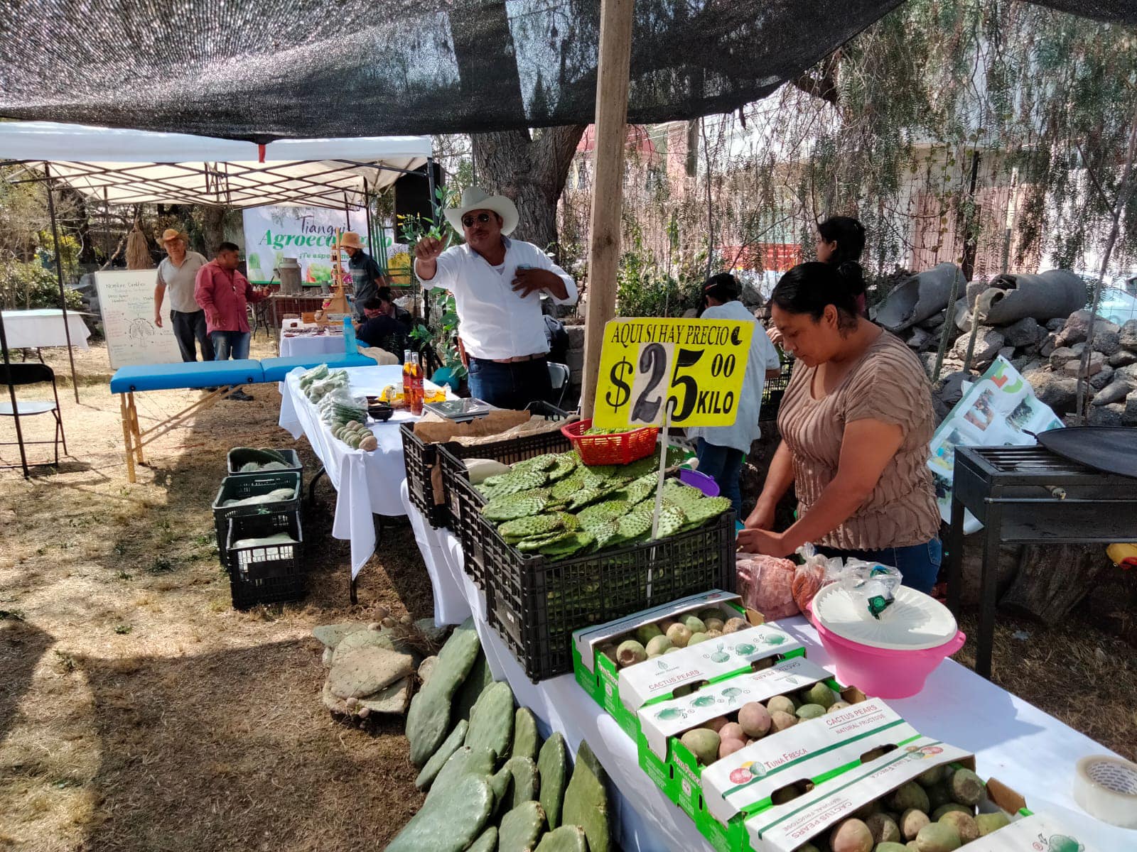 1674776639 805 En Tecamac impulsamos la autosuficiencia alimentaria con la comercializacion de