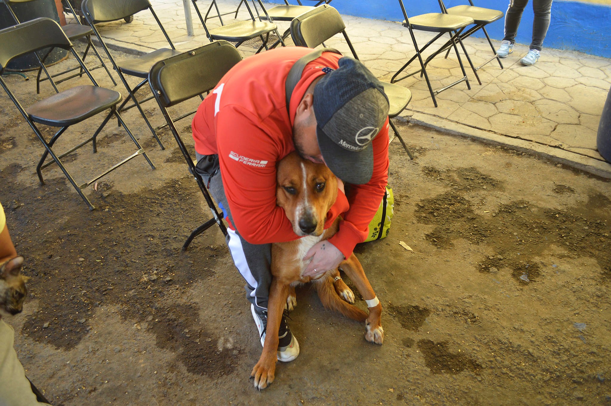 1674851571 892 GOBIERNO DE CHIMALHUACAN PROYECTA DIEZ MIL ESTERILIZACIONES CANINAS PARA 2023