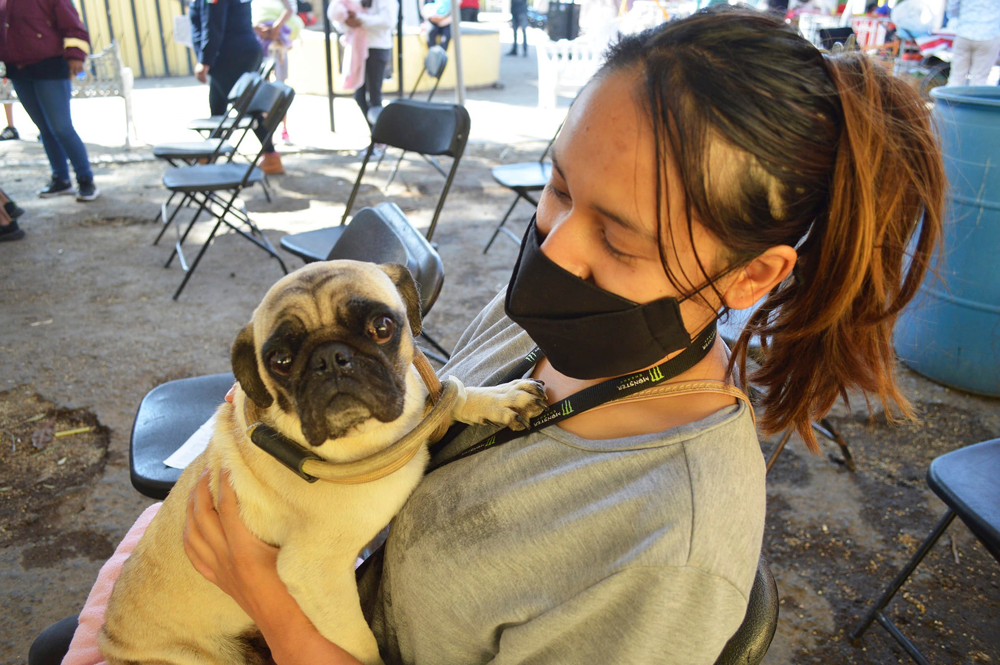 1674851572 266 GOBIERNO DE CHIMALHUACAN PROYECTA DIEZ MIL ESTERILIZACIONES CANINAS PARA 2023