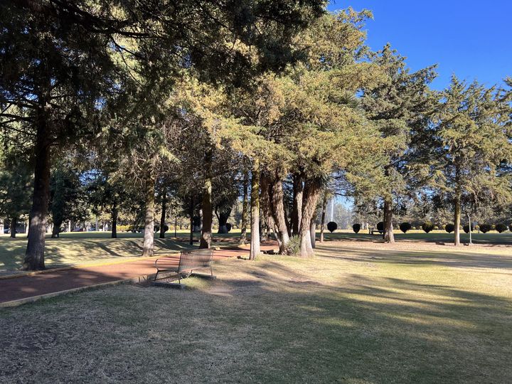 1674924665 Es un lindo dia para disfrutar nuestros parques y jardines