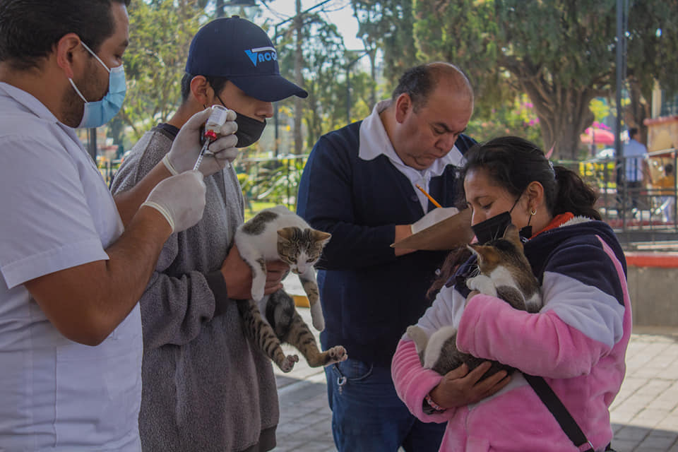 1674949415 67 Hoy se llevo a cabo la primer Jornada de esterilizacion