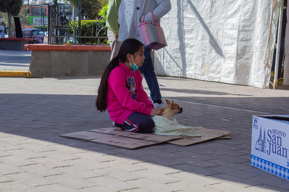 1674949415 9 Hoy se llevo a cabo la primer Jornada de esterilizacion