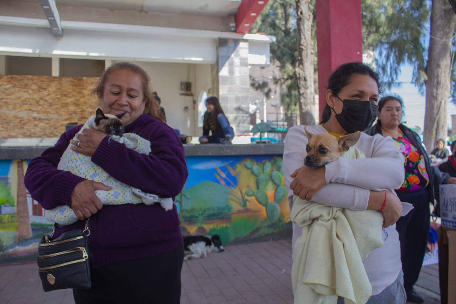 1674949416 112 Hoy se llevo a cabo la primer Jornada de esterilizacion