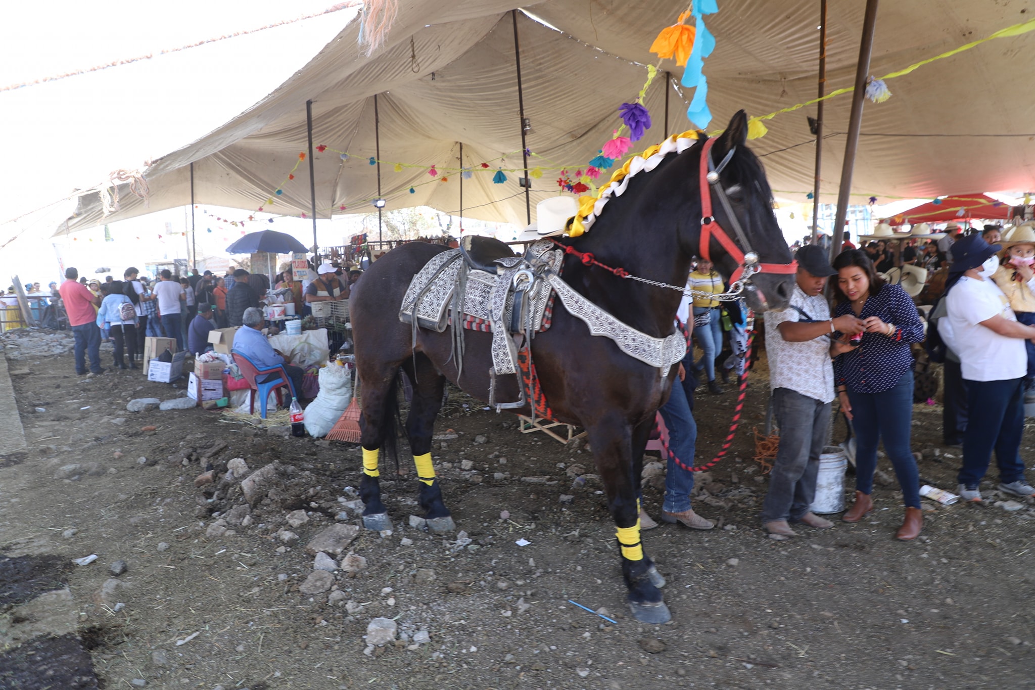 1675087834 518 En el marco de la Fiesta Anual del Machero 2023