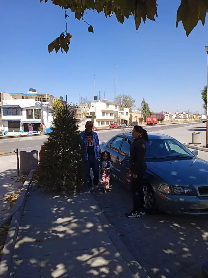 1675100703 ¡ULTIMOS DIAS Aprovecha la campana de reciclaje de arboles de jpg