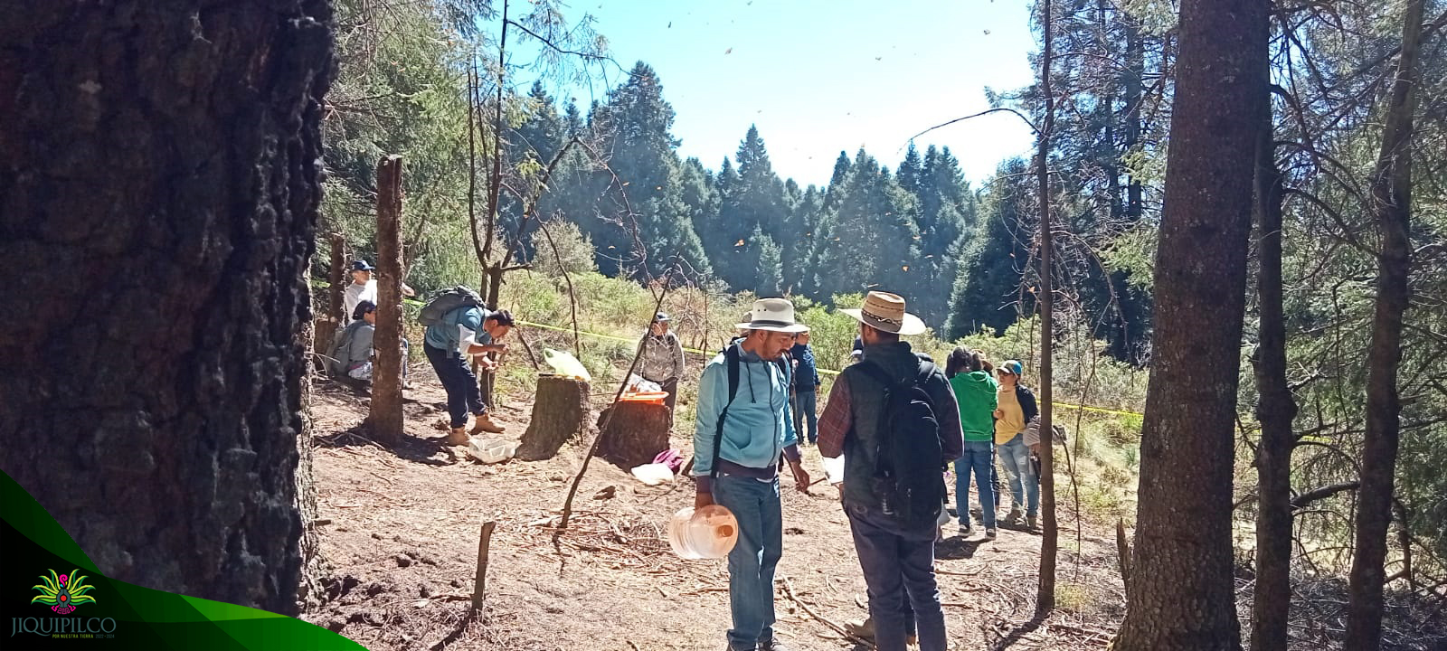 1675102305 833 A traves del programa Conservacion Proteccion y Preservacion de la