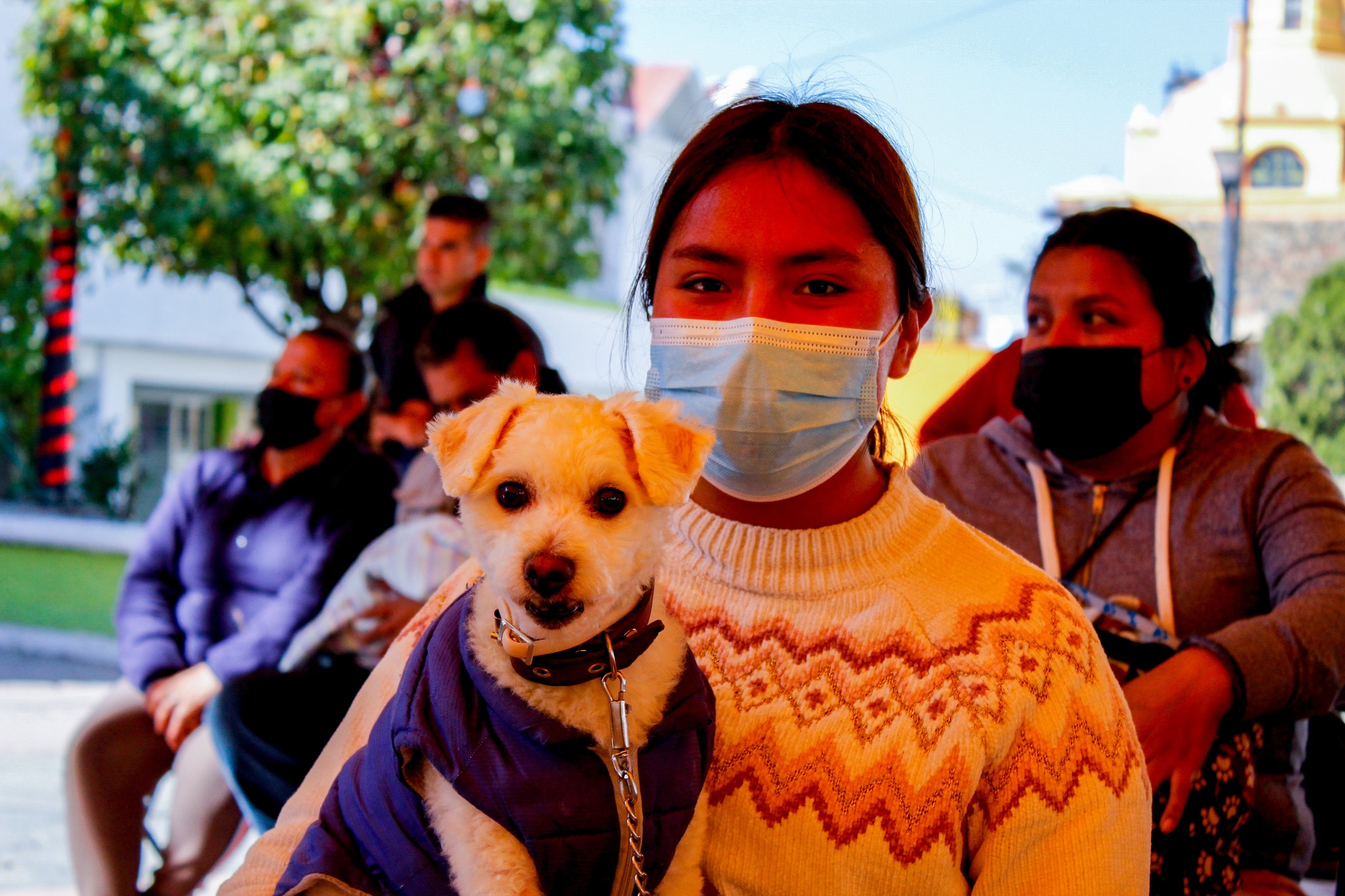 1675118860 810 Se concluye con exito la primer Jornada de Esterilizacion Canina