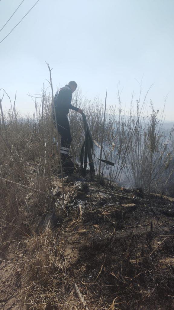 1675198122 246 Elementos de Proteccion Civil y Bomberos lograron sofocar con