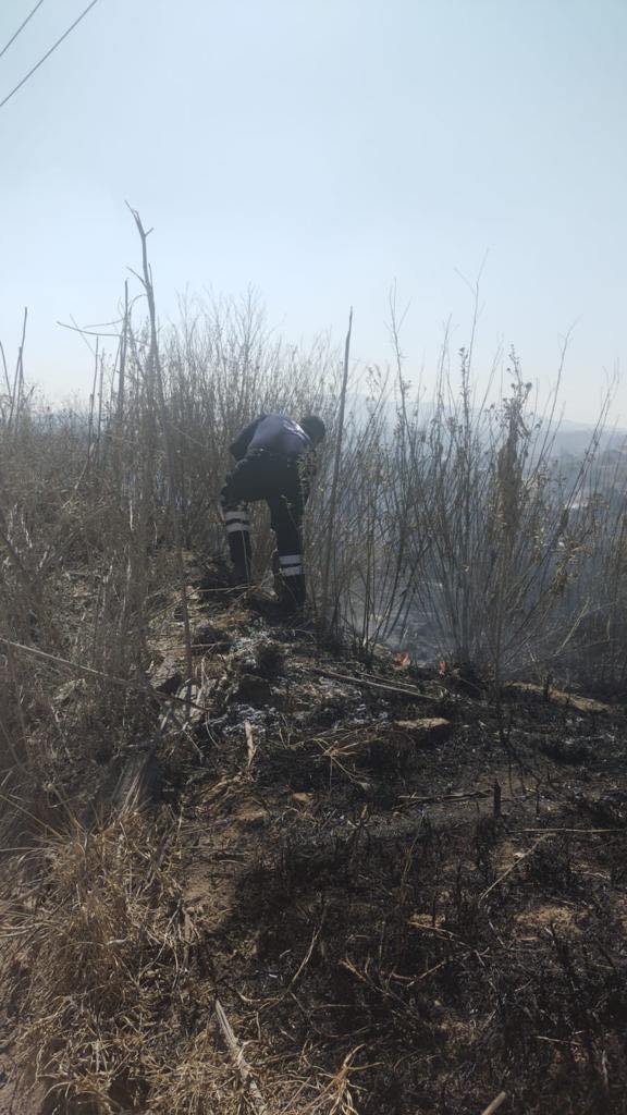 1675198122 764 Elementos de Proteccion Civil y Bomberos lograron sofocar con