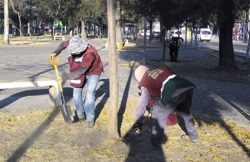 1675204602 908 ServiciosPublicos A traves del personal de EmpleoTemporal se llevo