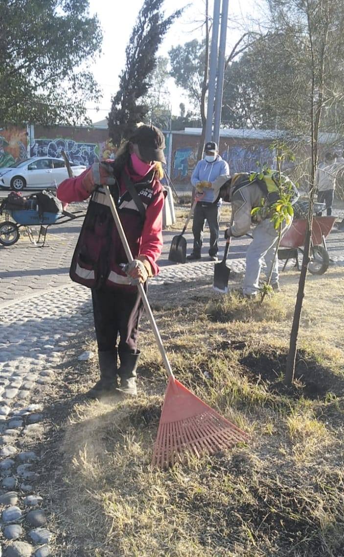 1675204603 562 ServiciosPublicos A traves del personal de EmpleoTemporal se llevo