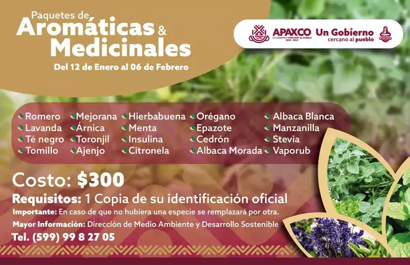 ADQUIERE PAQUETES DE PLANTAS AROMATICAS Y MEDICINALES jpg