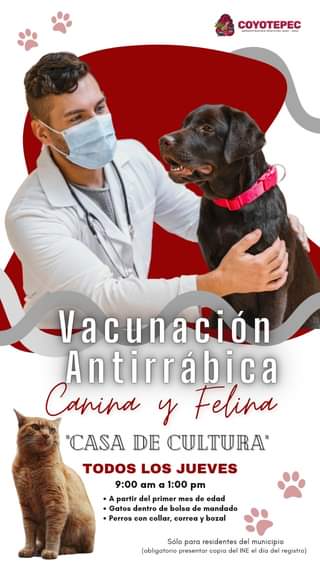 BienestarAnimal I VACUNACION ANTIRRABICA Vacuna a tus mascotas contra la