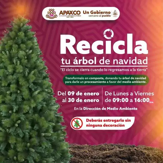 CAMPANA DE RECOLECCION DE ARBOLITOS NATURALES DE NAVIDAD jpg