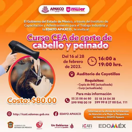 CURSO DE CORTE DE CABELLO Y PEINADO EN COYOTILLOS jpg