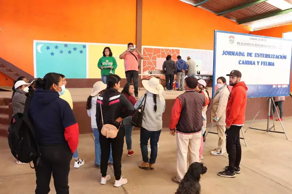 Con El Propósito De Concientizar Sobre La Sobrepoblación De Perros Y Gatos Prom Estado De México 3234