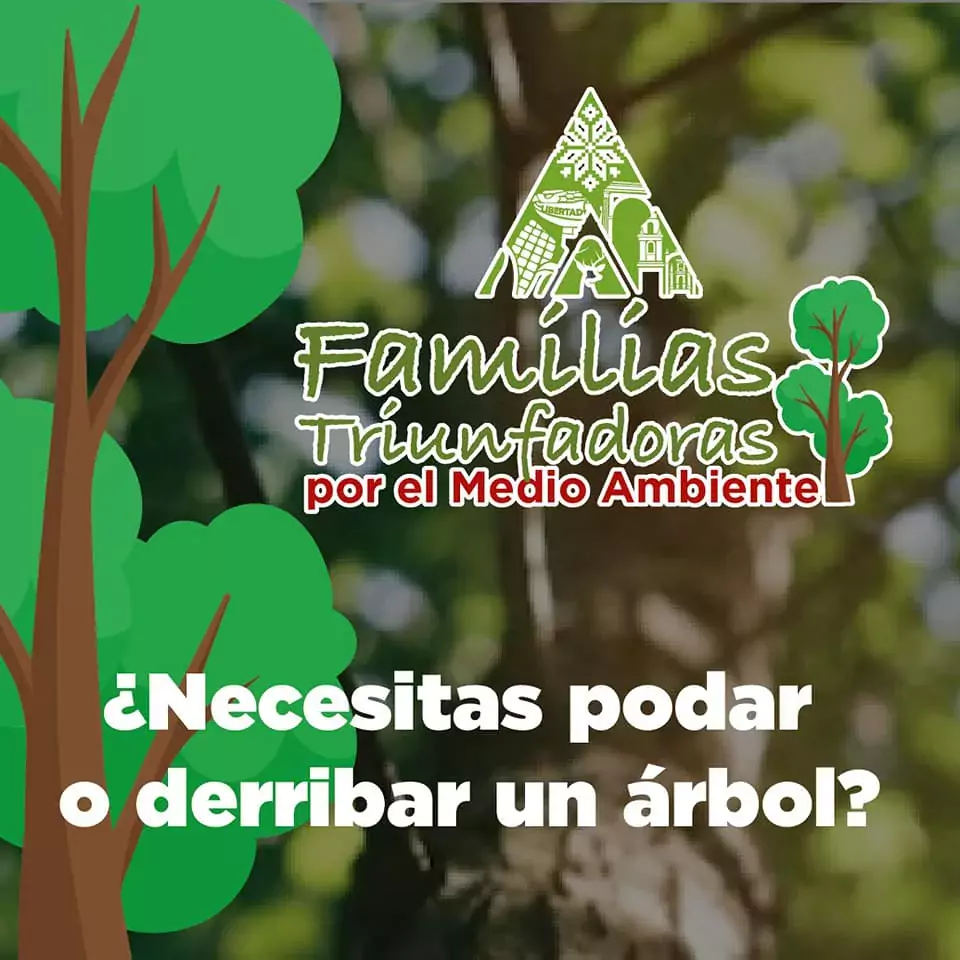 Conoce las disposiciones para podar o derribar arboles en Ixtlahuaca jpg