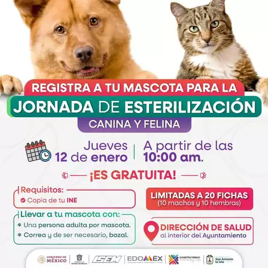 Cuidar de nuestras mascotas es un acto de carino y jpg