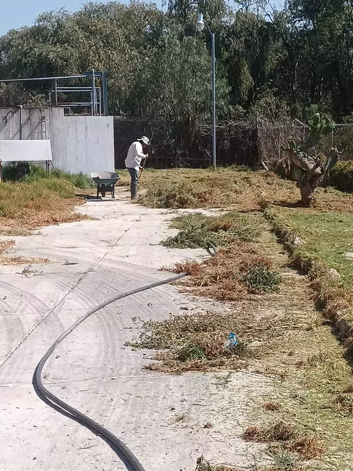 El Ayuntamiento de Texcoco continua con las labores de mantenimiento jpg