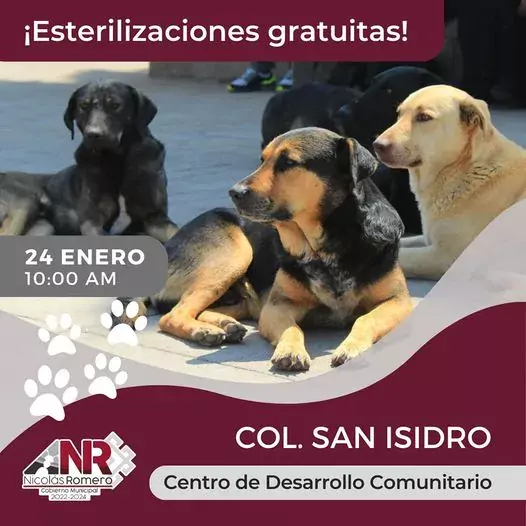 El dia de manana nuestra Jornada de Esterilizacion visita la jpg