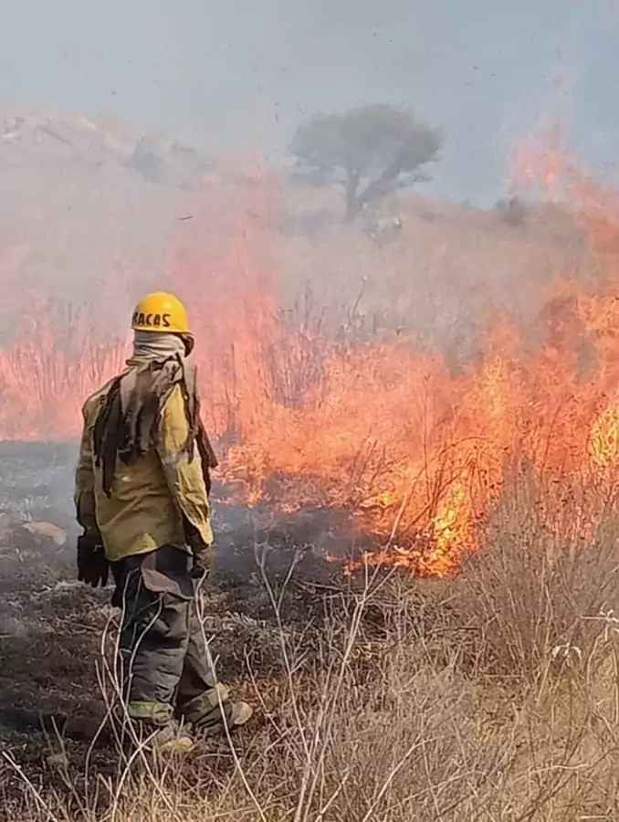 Elementos del equipo de Bomberos de AtizapanDeZaragoza trabajan para sofocar jpg