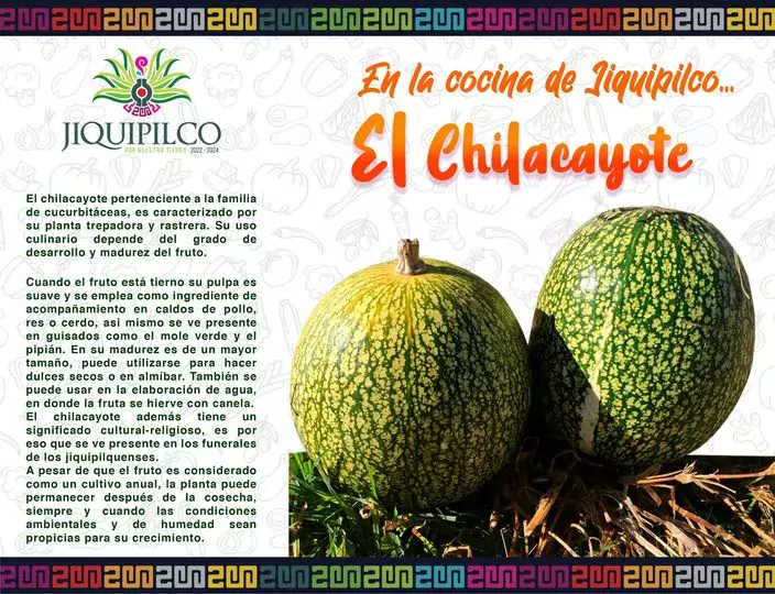 En la cocina de Jiquipilco te presentamos El Chilacayote un jpg