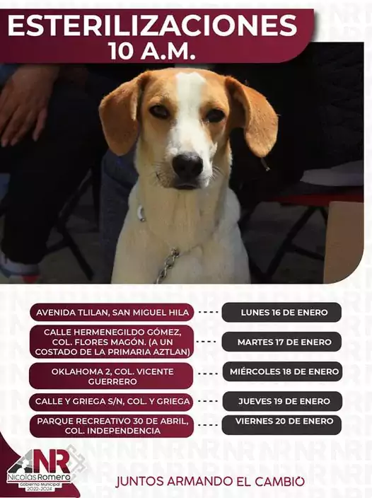 Esta semana tendremos una intensa Jornada de Esterilizacion 𝗚𝗥𝗔𝗧𝗨𝗜𝗧𝗔 para jpg