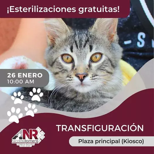 Este jueves 26 nuestra Jornada de Esterilizacion Gratuita estara en jpg