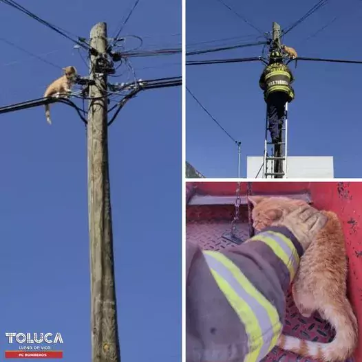 Hace unos momentos nuestro Heroico Cuerpo de PC Bomberos Toluca jpg