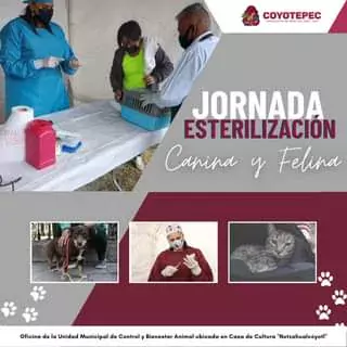 I JornadaEsterilizacion Durante el 2022 se realizaron 1503 cirugias con jpg