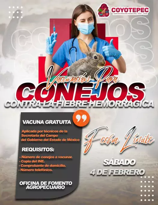 I Vacunacion de Conejos jpg