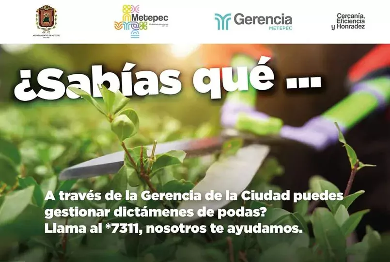 Informacion importante de la Gerencia Metepec jpg