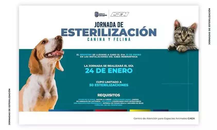 Jornada de esterilizacion canina y felina jpg