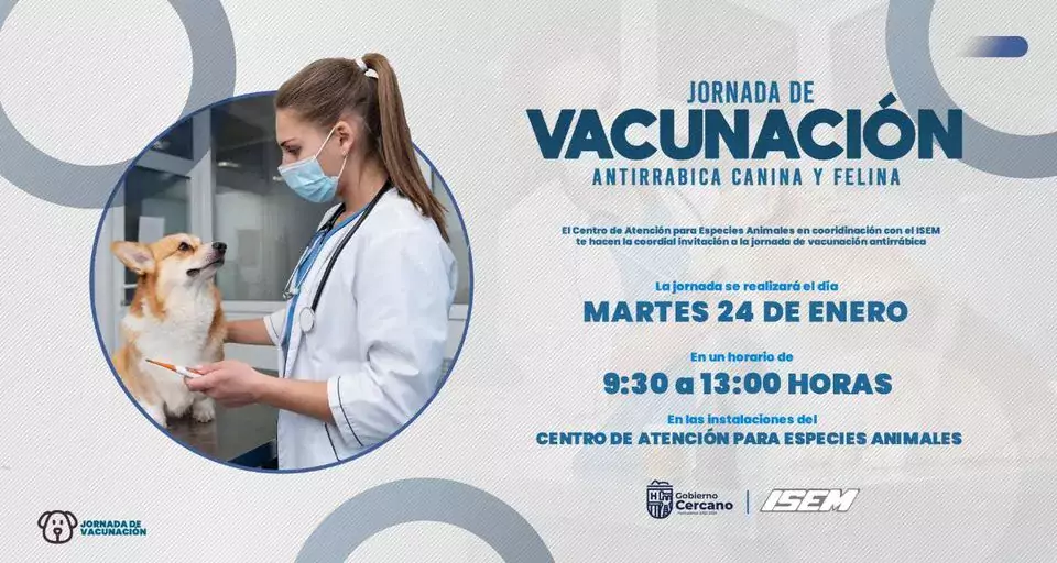 Jornada de vacunacion antirrabica canina y felina Este martes jpg