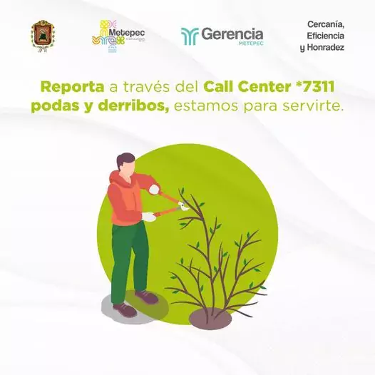 La Gerencia Metepec pone a tu disposicion la app Metepec jpg