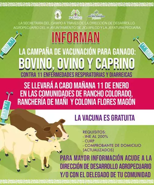 La campana de vacunacion para ganado bovino ovino y caprino jpg