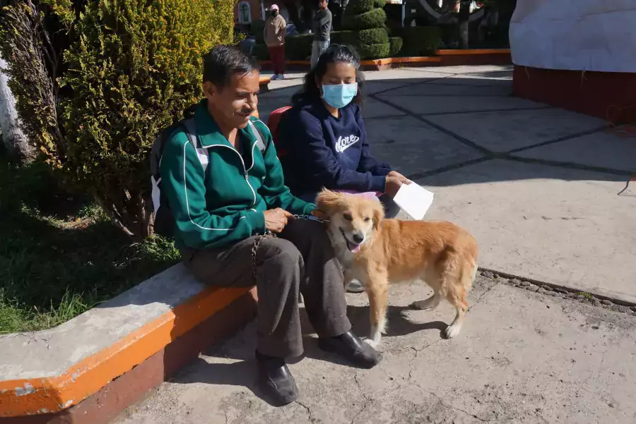 La esterilizacion es un acto de amor hacia nuestras mascotas jpg