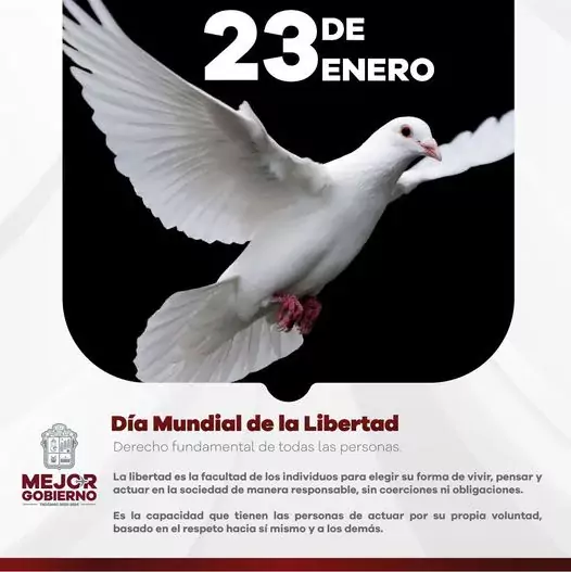 La libertad favorece el desarrollo personal cada persona es libre jpg